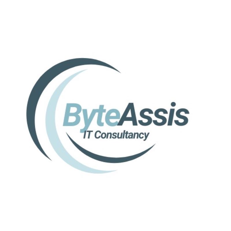 ByteAssis